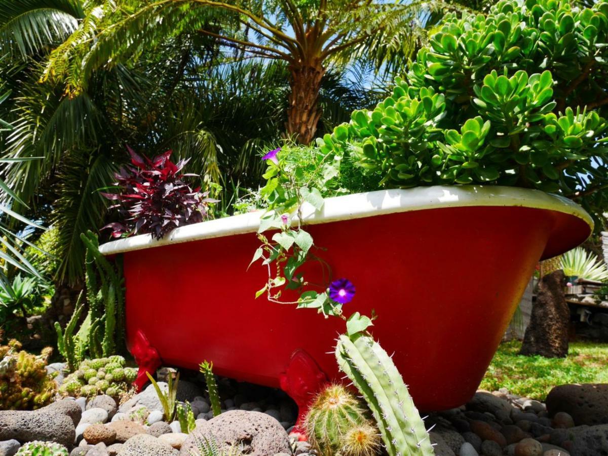 Casas Serenas Estreito Da Calheta 외부 사진