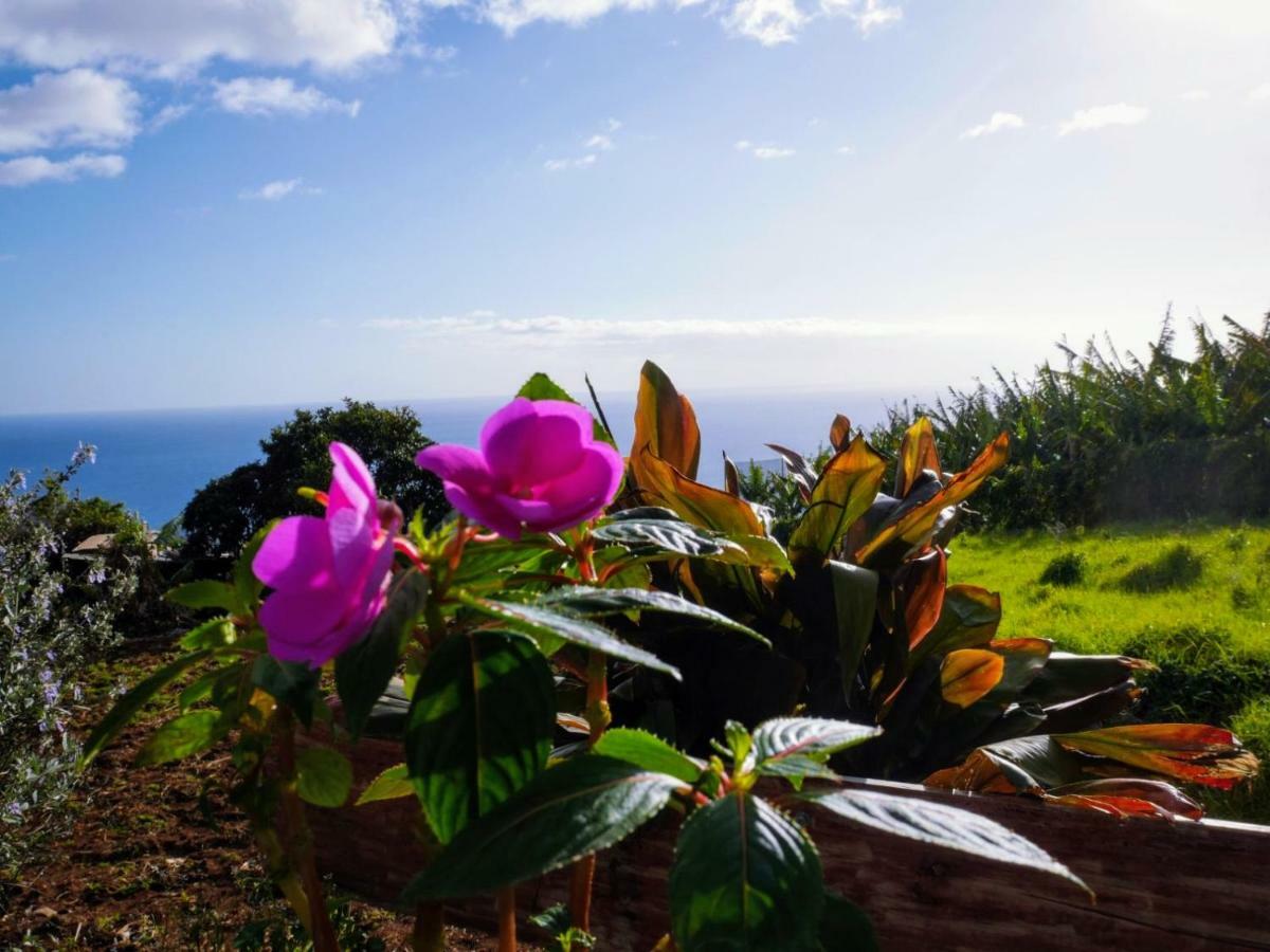 Casas Serenas Estreito Da Calheta 외부 사진